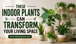 Read more about the article These Indoor Plants Can Transform Your Living Space